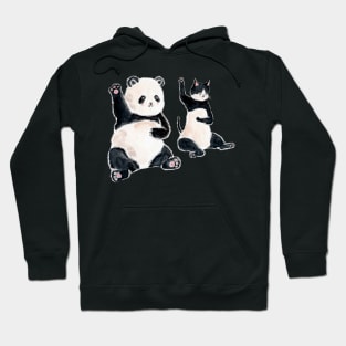 CAT & PANDA Hoodie